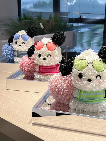 Sunglasses Pachacco