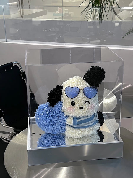 Sunglasses Pachacco